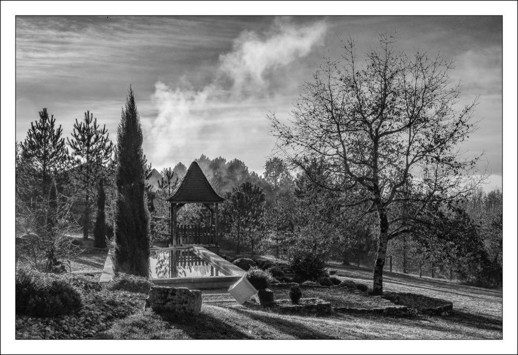 Bed and Breakfast Le Lion D'Or En Perigord Mauzac-et-Grand-Castang Exteriér fotografie